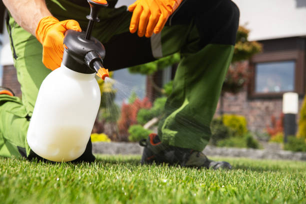Best Rat Extermination Near Me  in White Horse, NJ