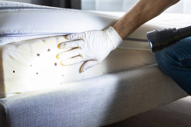 Best Affordable Pest Control Services  in White Horse, NJ