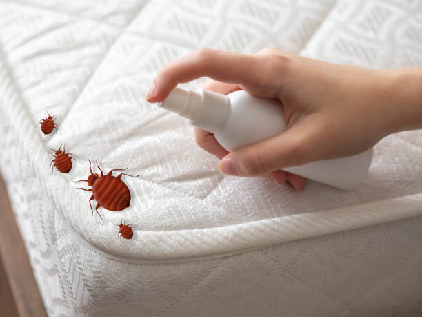Best Wasp Removal Services  in White Horse, NJ