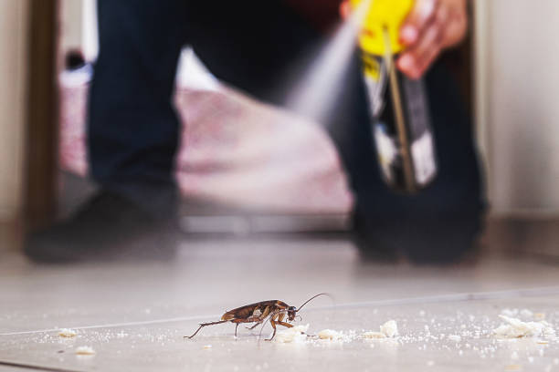 Best Emergency Pest Control  in White Horse, NJ